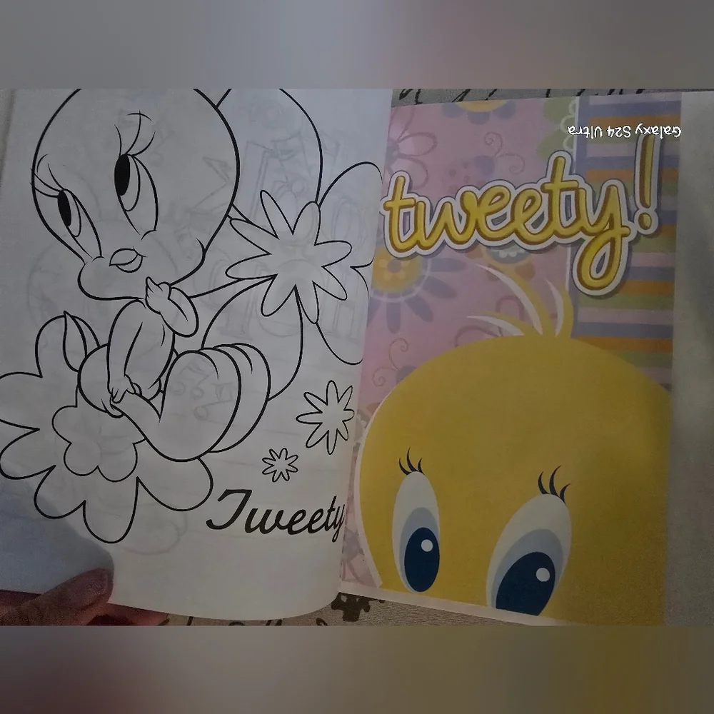 Warner Bros. looney tunes